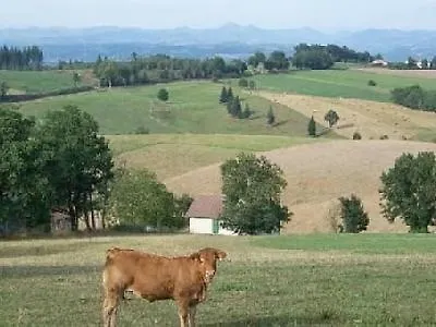 Chalet Ferme Lou Braisadou *